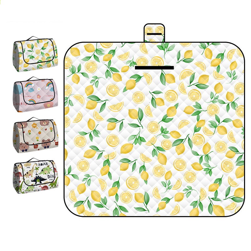 150*200CM Portable Picnic Mat  - Outdoor Camping Rugs 评论和价格