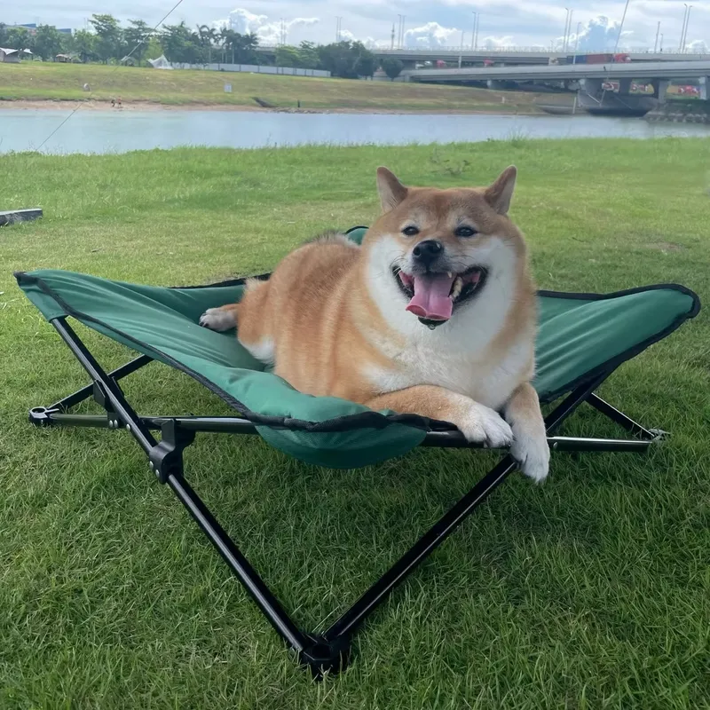 for Luxurious Modern Portable  - Outdoor Camping Dog Bed 评论和价格